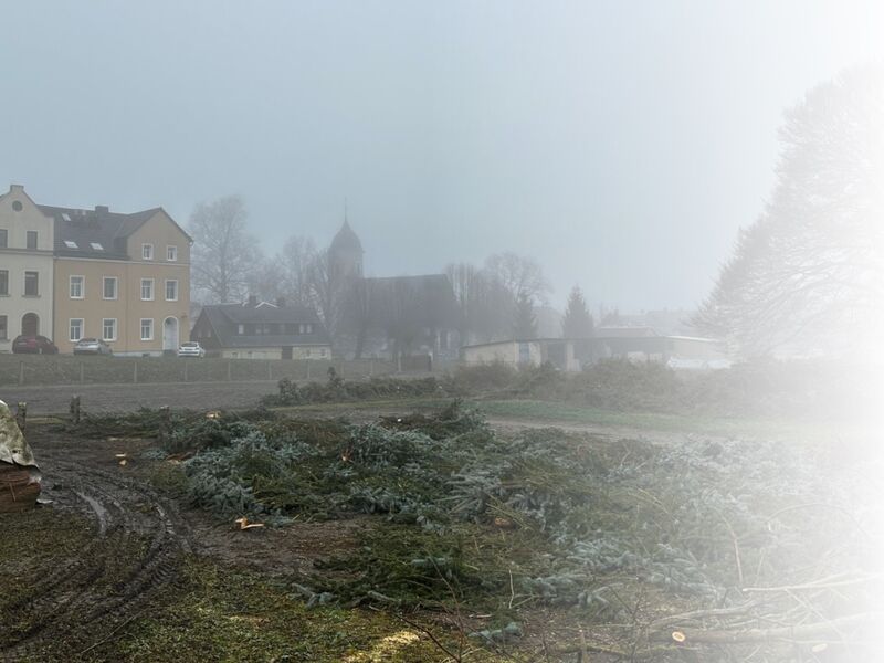 Garten mit Aussicht - Naturwelten in der Stadt