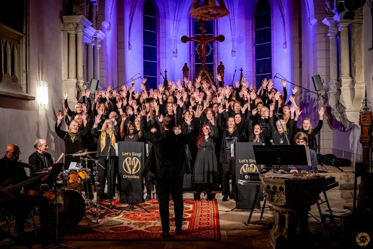 Titelbild Viva la vida - Stimmungsvolles Open Air